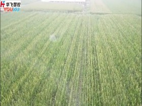 植保無人機噴灑農藥