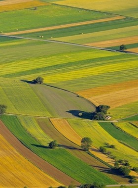 精準(zhǔn)農(nóng)業(yè)